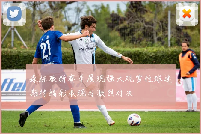 森林狼新赛季展现强大观赏性球迷期待精彩表现与激烈对决